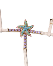 Load image into Gallery viewer, Starfish

