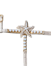 Load image into Gallery viewer, Starfish
